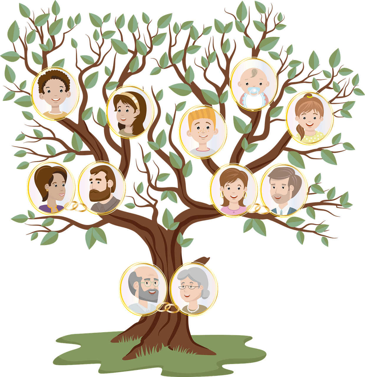 Illustration of a family tree with cartoon portraits of multiple generations displayed in circular frames among the branches.